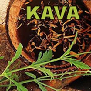 Kava